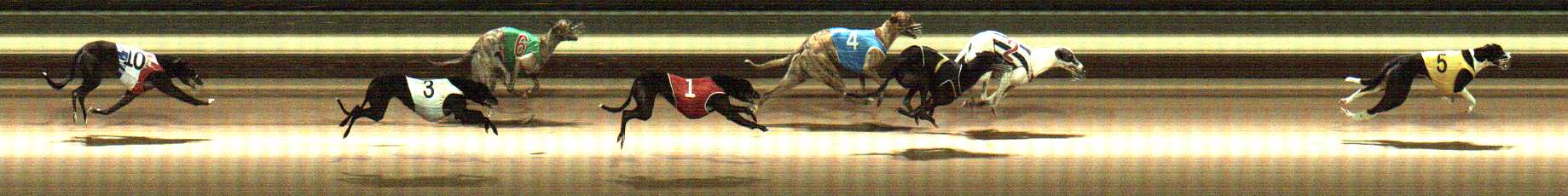 Photo finish for Warragul Race 5