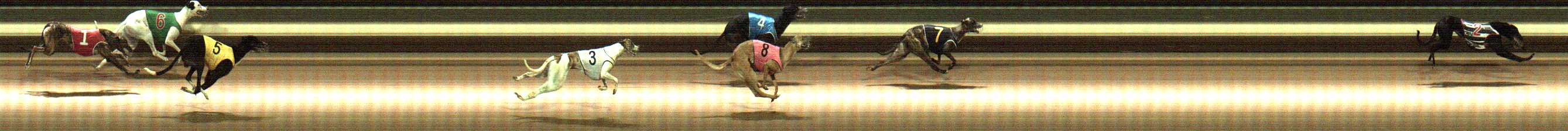Photo finish for Warragul Race 6