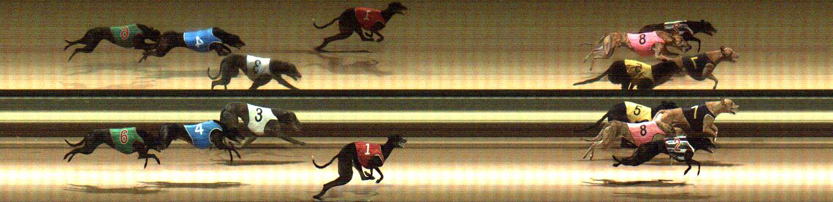 Photo finish for Warragul Race 7