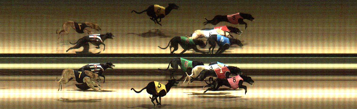 Photo finish for Warragul Race 8