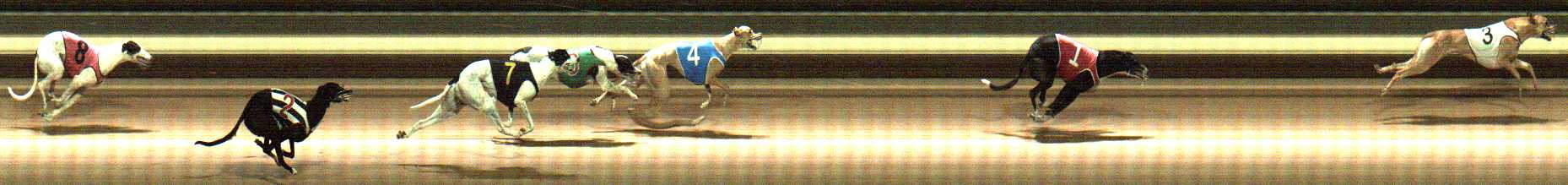 Photo finish for Warragul Race 9
