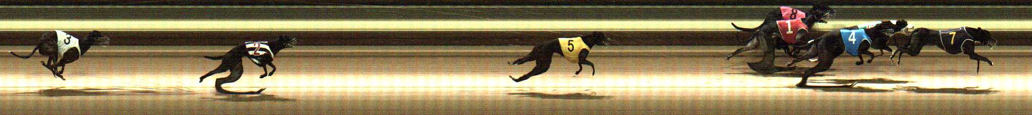 Photo finish for Warragul Race 10