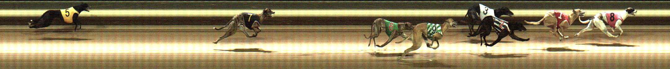 Photo finish for Warragul Race 11