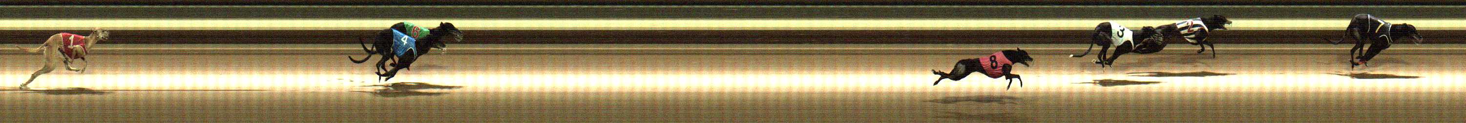 Photo finish for Warragul Race 12