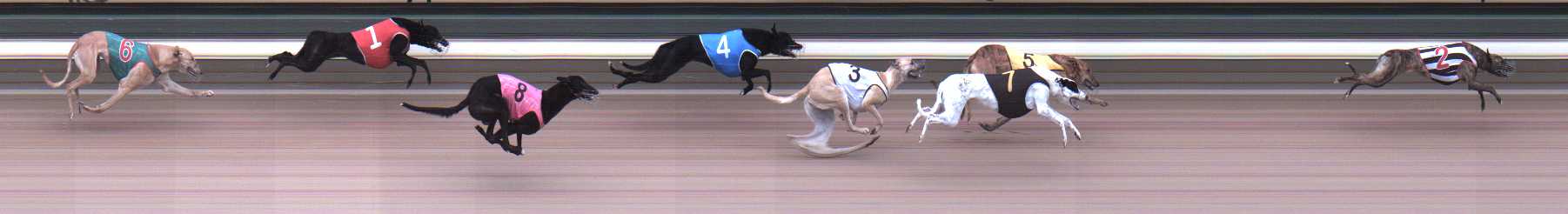 Photo finish for Warragul Race 1