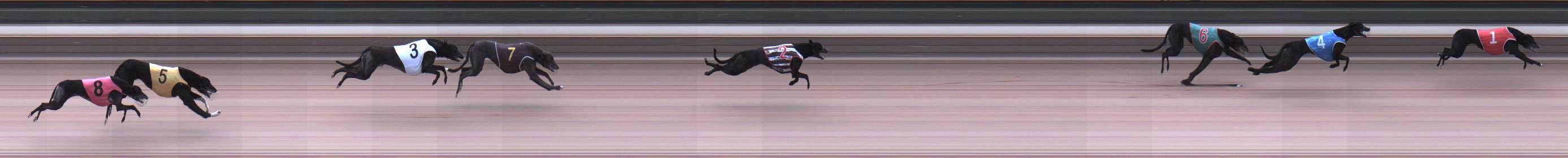 Photo finish for Warragul Race 2