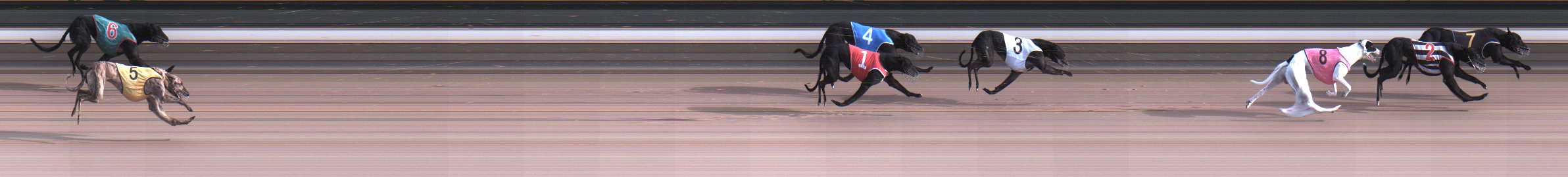 Photo finish for Warragul Race 3
