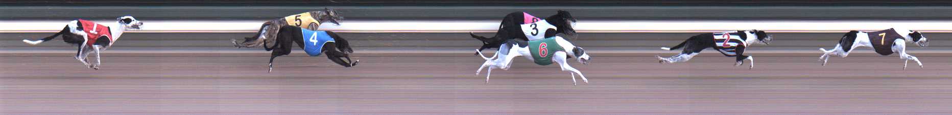 Photo finish for Warragul Race 4