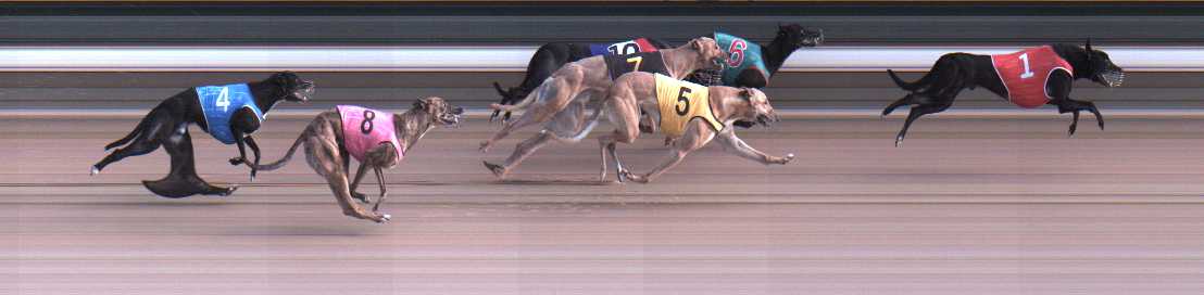 Photo finish for Warragul Race 5