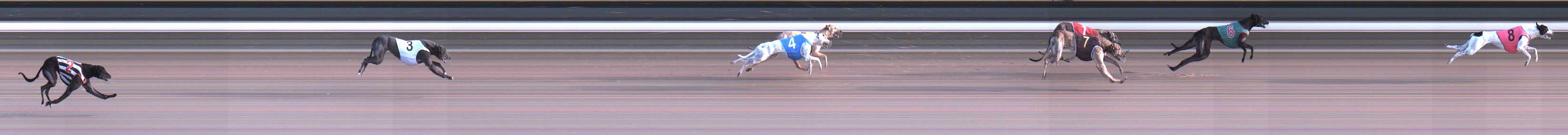 Photo finish for Warragul Race 6