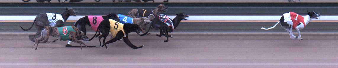 Photo finish for Warragul Race 7