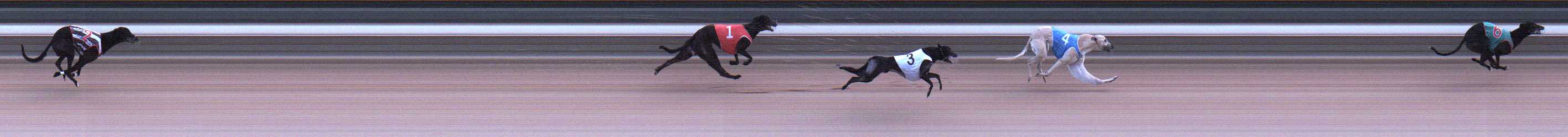 Photo finish for Warragul Race 8