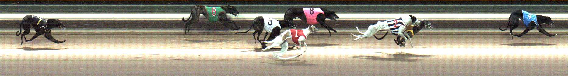 Photo finish for Warragul Race 9
