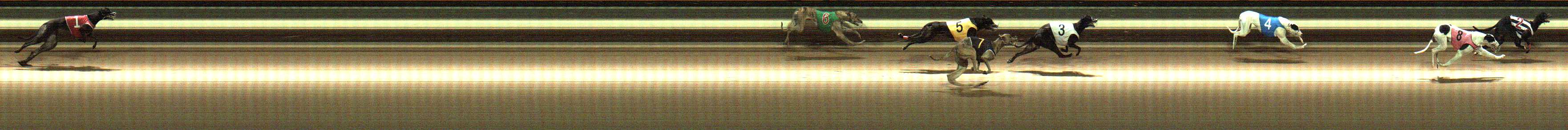 Photo finish for Warragul Race 10