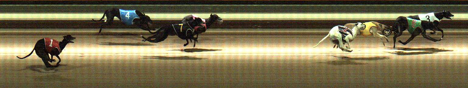 Photo finish for Warragul Race 11