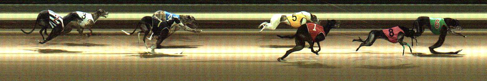 Photo finish for Warragul Race 12