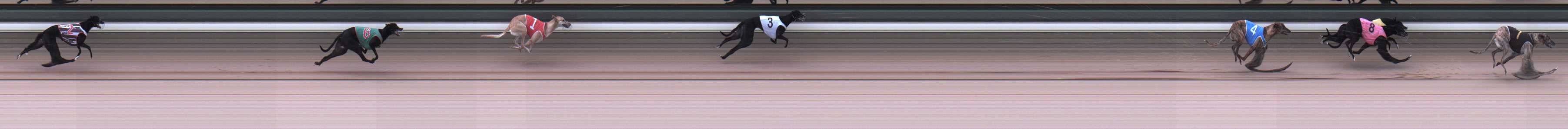 Photo finish for Warragul Race 1