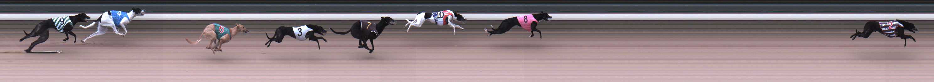 Photo finish for Warragul Race 3