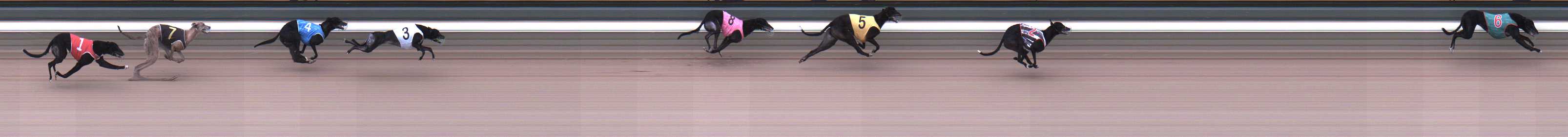 Photo finish for Warragul Race 4
