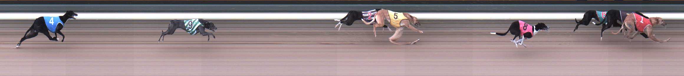 Photo finish for Warragul Race 5