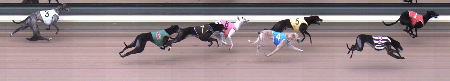 Photo finish for Warragul Race 6