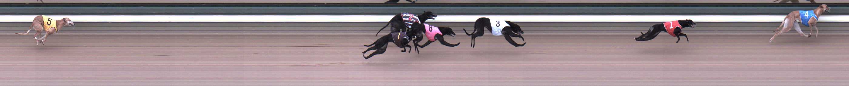 Photo finish for Warragul Race 7