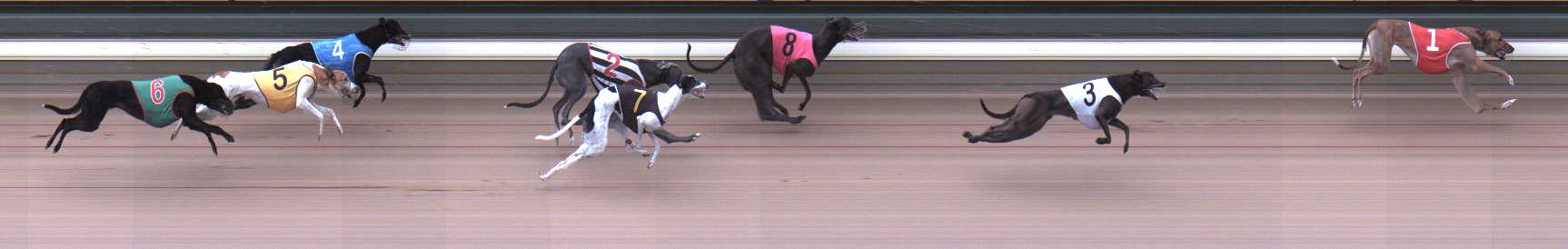 Photo finish for Warragul Race 8