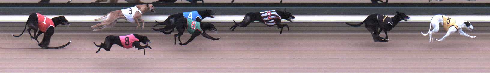 Photo finish for Warragul Race 9