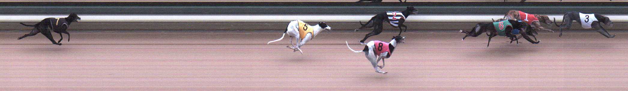 Photo finish for Warragul Race 10