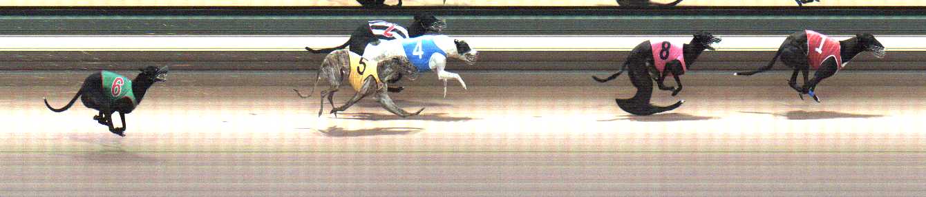 Photo finish for Warragul Race 11