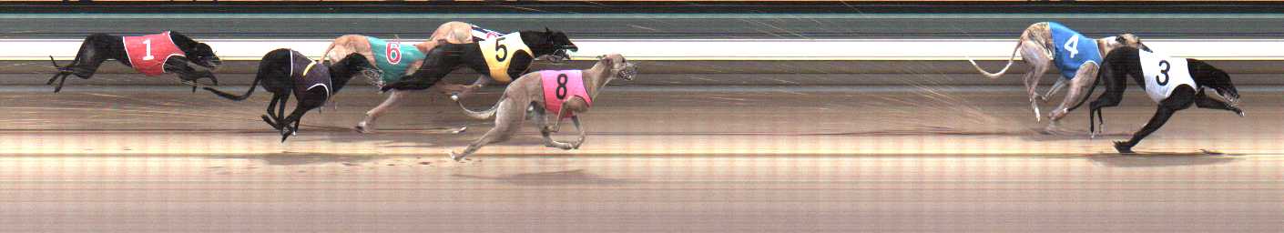 Photo finish for Warragul Race 12