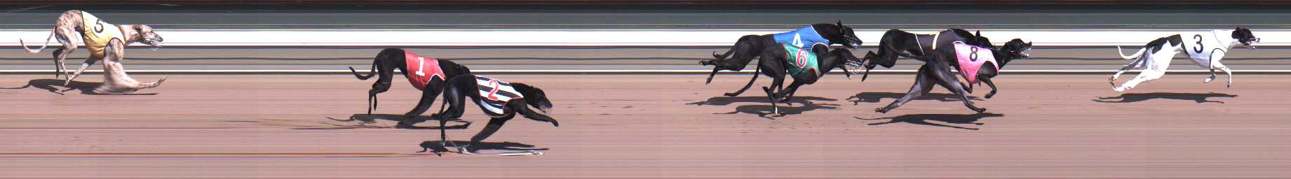 Photo finish for Warragul Race 1
