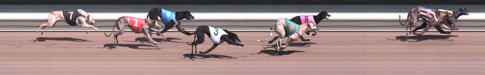 Photo finish for Warragul Race 2