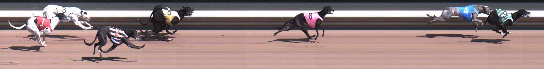 Photo finish for Warragul Race 3