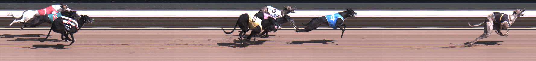 Photo finish for Warragul Race 4