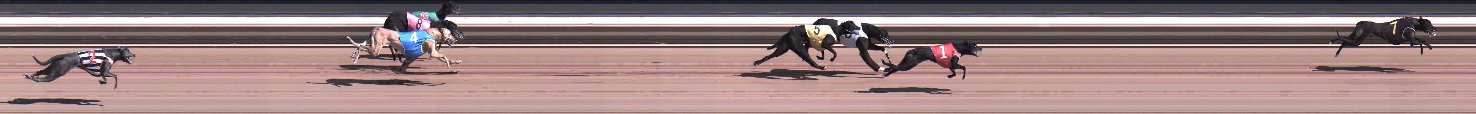 Photo finish for Warragul Race 5