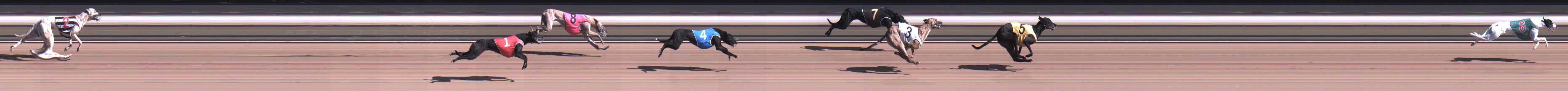 Photo finish for Warragul Race 6
