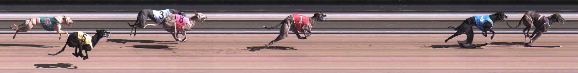 Photo finish for Warragul Race 7