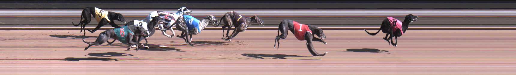 Photo finish for Warragul Race 8