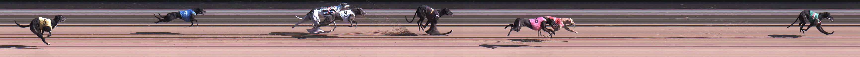 Photo finish for Warragul Race 9