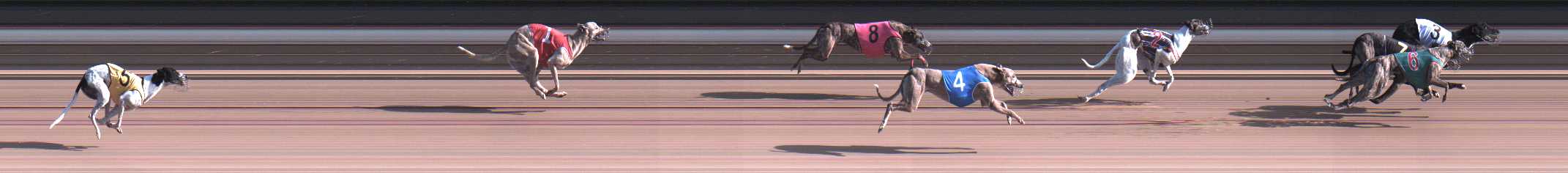 Photo finish for Warragul Race 10