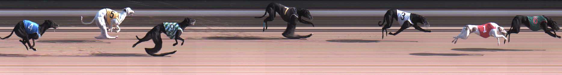 Photo finish for Warragul Race 11