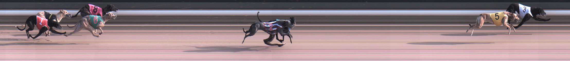 Photo finish for Warragul Race 12