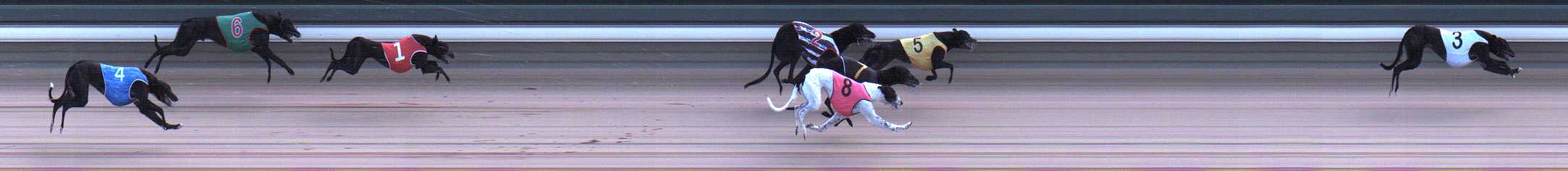 Photo finish for Warragul Race 1