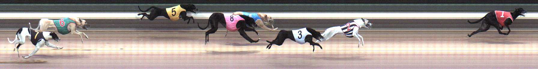 Photo finish for Warragul Race 2