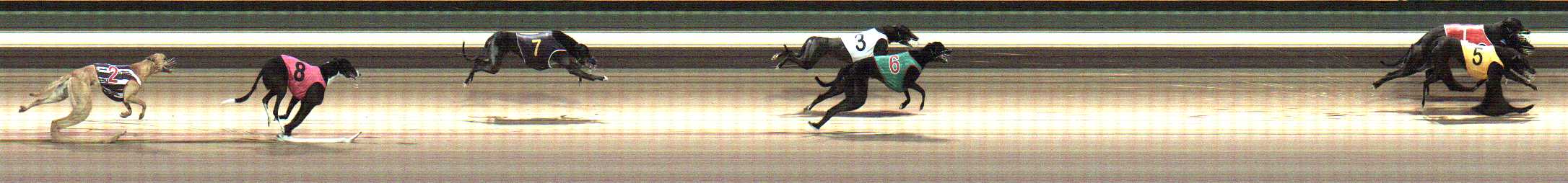 Photo finish for Warragul Race 3