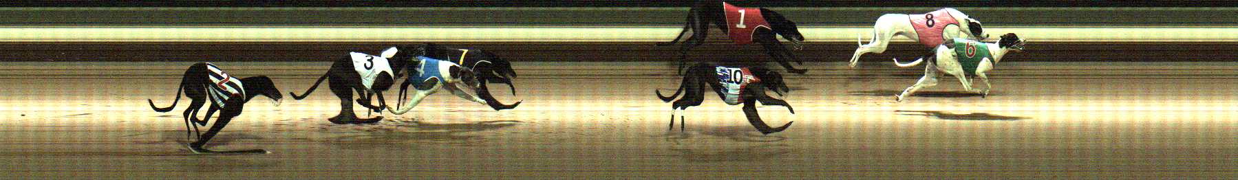 Photo finish for Warragul Race 4