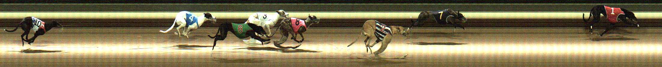 Photo finish for Warragul Race 5