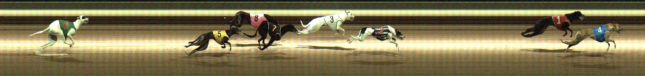 Photo finish for Warragul Race 6