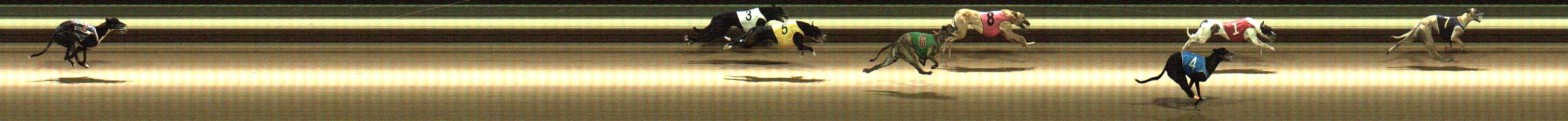 Photo finish for Warragul Race 7